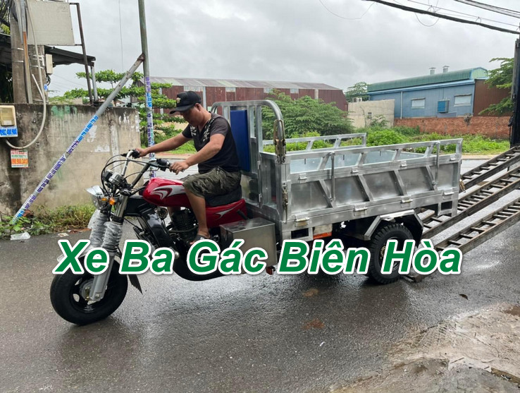 Xe ba gác chở cồng kềnh trong nội ô thành phố  Báo Đồng Nai