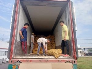 z3680861076191 ba3ed95fb5ace1e626fedff0648d146b