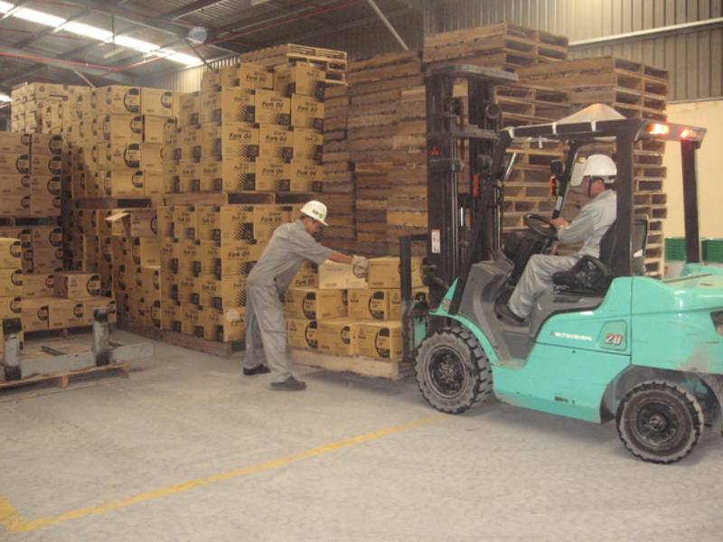 Dịch vụ cho thuê xe nâng hạ hàng trọn gói