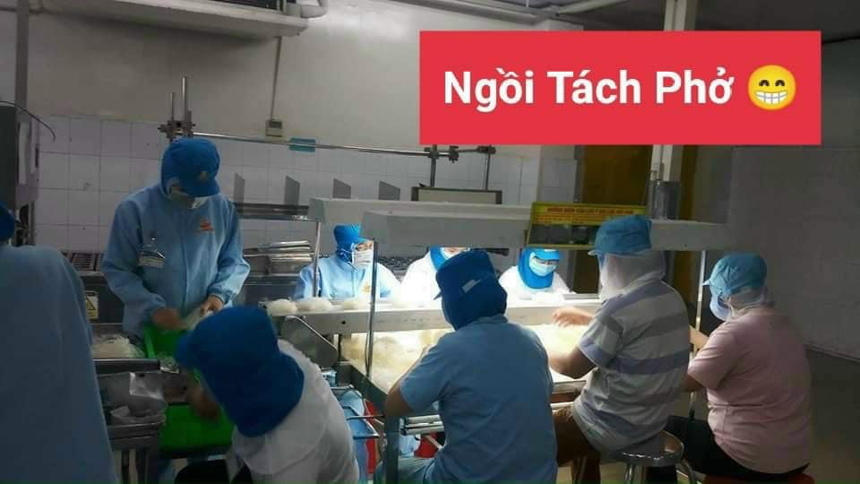 Cho thuê lao động tại Hậu Giang
