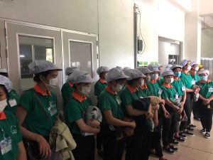 Cung ứng nhân lực tại Lâm Đồng