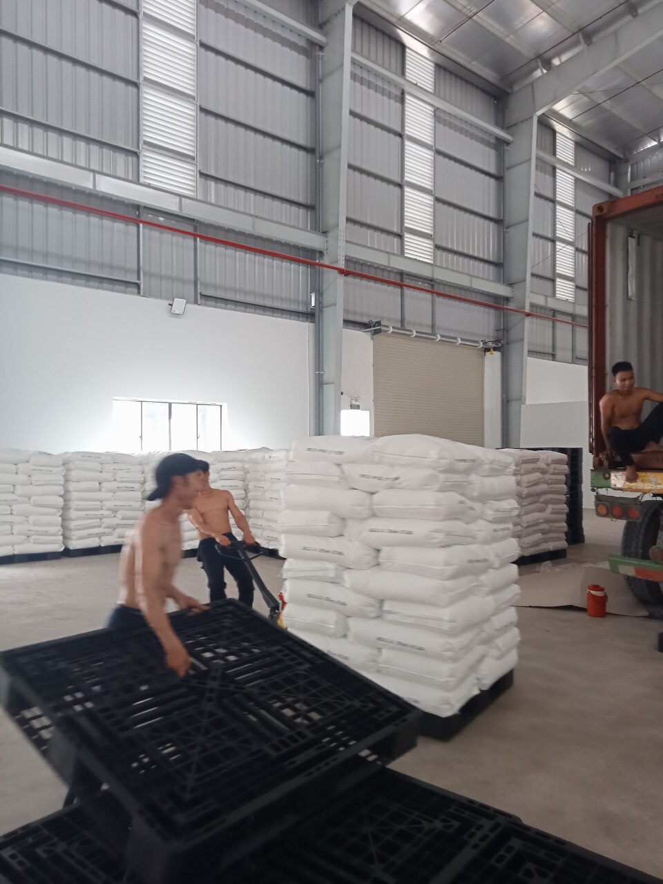 Dịch vụ bốc xếp tại Vũng Tàu - Bà Rịa