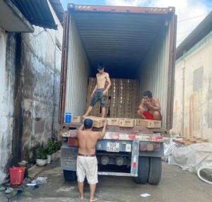 Dịch vụ bốc xếp, khuôn vác Hậu Giang giá rẻ 55k/h