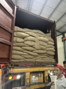 Dịch vụ bốc vác tại Nam Định: bốc xếp container, phụ kho, xếp dỡ hàng hóa