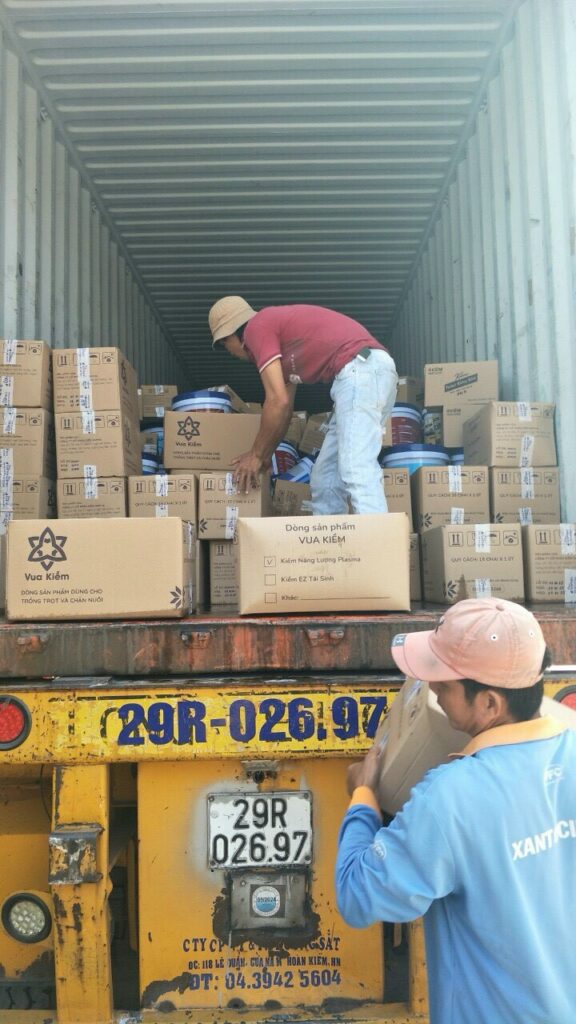 Dịch vụ bốc vác tại Cà Mau, bốc xếp container, kho bãi- Hưng Phát