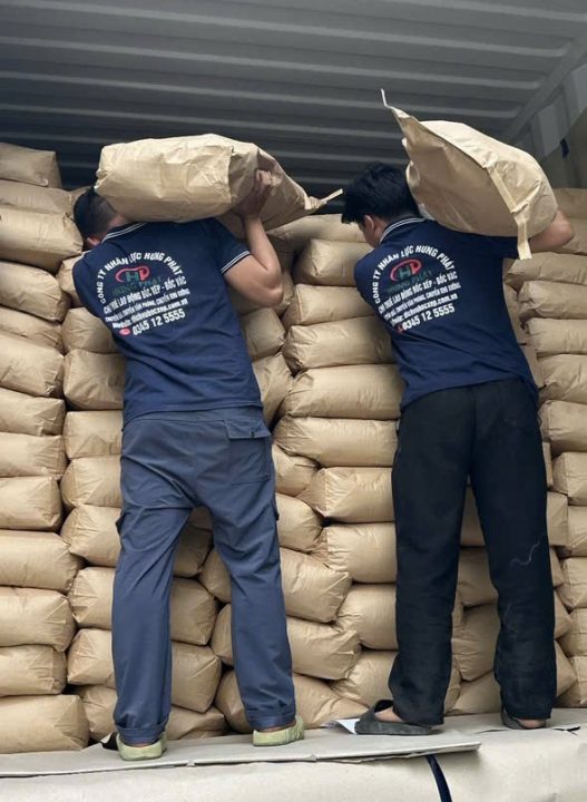 Dịch Vụ Bốc Xếp KCNC Long Đức, hàng Container, Kho Xưởng, Bến Bãi Uy Tín Dịch Vụ Bốc Xếp container KCNC Long Đức uy tín