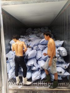 Dịch vụ bốc xếp, phụ kho KCN DNN - Tân Phú (Long An)