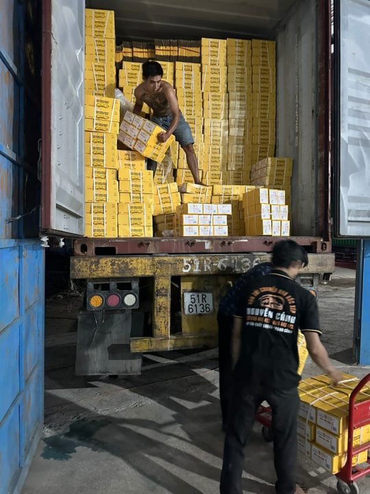 Bốc xếp hàng hóa container kho xưởng KCN Prodezi giá rẻ - Hưng Phát Bốc xếp hàng hóa container KCN Prodezi giá rẻ - Hưng Phát