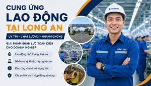 Cung Ứng Lao Động Long An Có Mặt Nhanh, Làm Việc Ngay